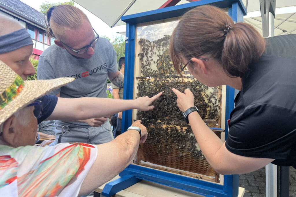 Menschen schauen auf Bienen, die in einem Gefäß sind, und zeigen darauf.