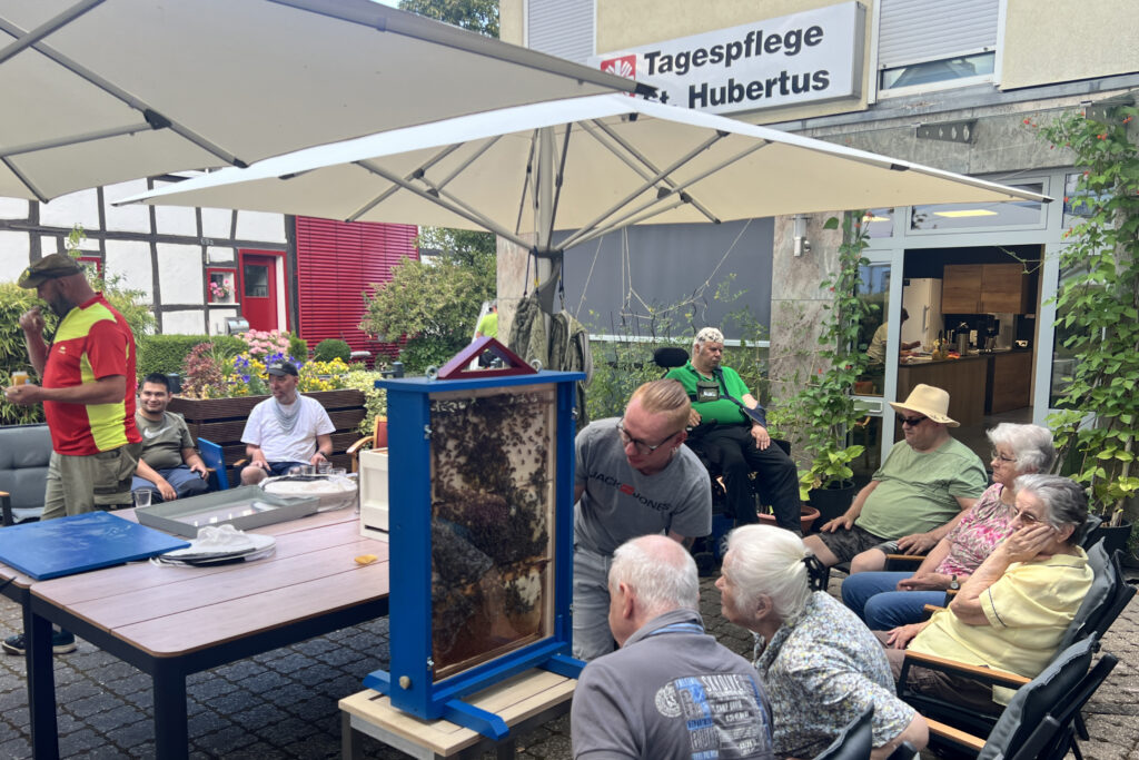 Menschen schauen auf ein Bienenvolk in einem durchsichtigen Gefäß.